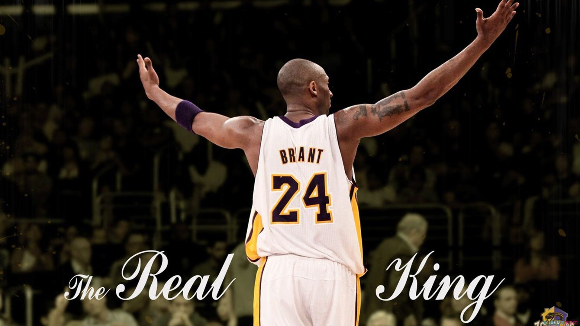 开云平台-浓眉高光撕裂天山防线，森林狼战术革命带走新疆队